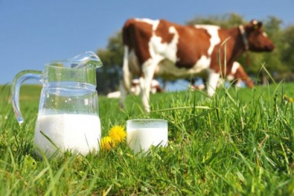 Crescătorii de vaci nu mai vor să completeze 